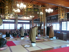 c慌o
