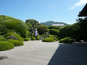 Ɖ~뉀