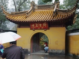牤