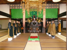 qo慌o