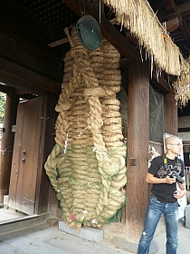 l傫ȑc