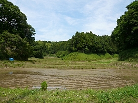 gpc