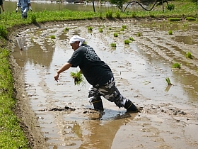 DĕÂ炢