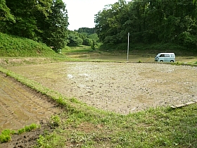 cAI