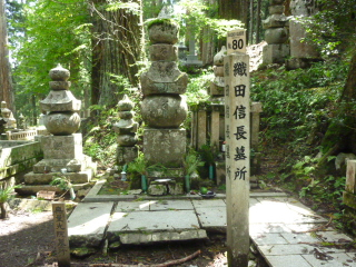 DcM揊