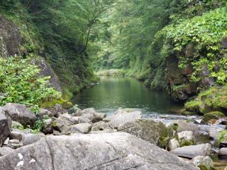 kokunaikensyu.3_190916_0012.jpg